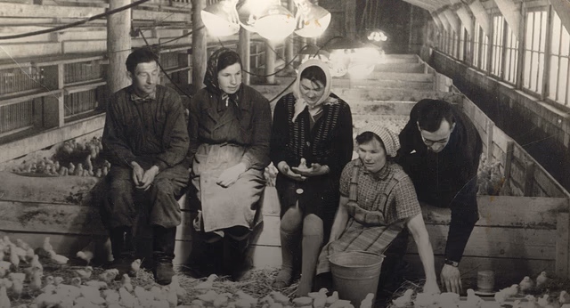 Vēsture un sasniegumi
