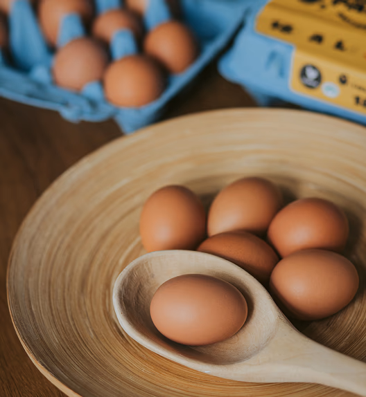 Become part of the Agrova Baltics story – and gain more!