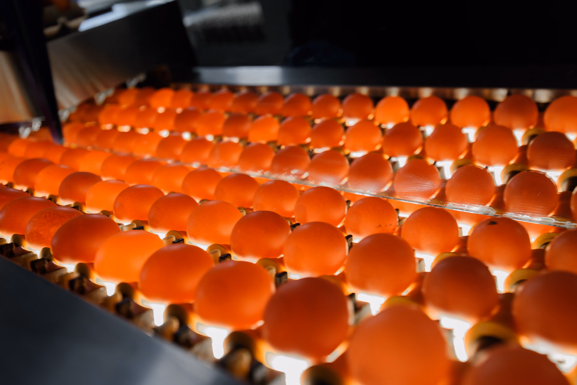 APF Holdings raises 2025 guidance following strong first half performance