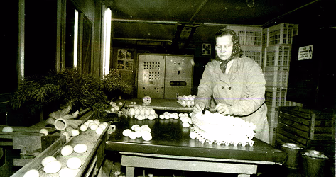 1960.–2000. gadi – Izcilības pamati